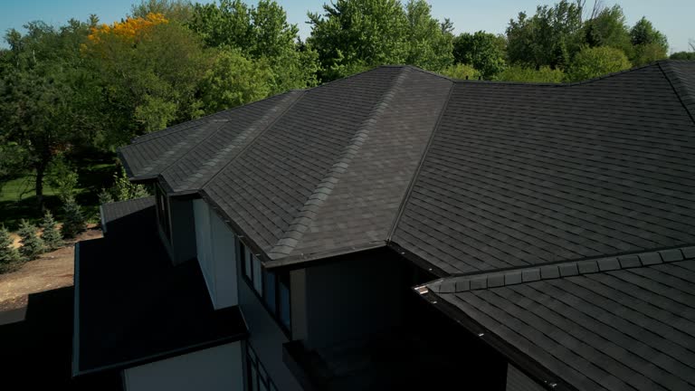 Best Asphalt Shingles Roofing  in Debary, FL