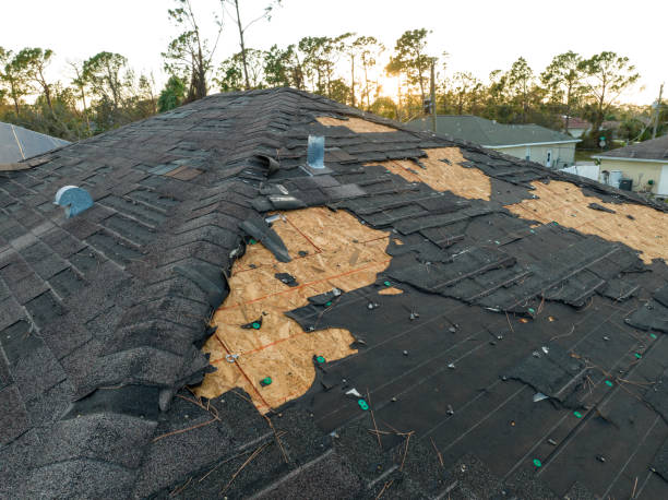 Best Solar Panel Roofing Installation  in Debary, FL