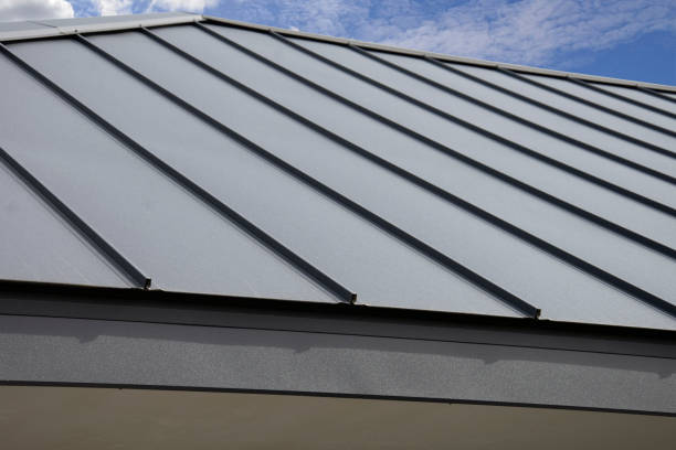 Best Rubber Roofing (EPDM, TPO)  in Debary, FL